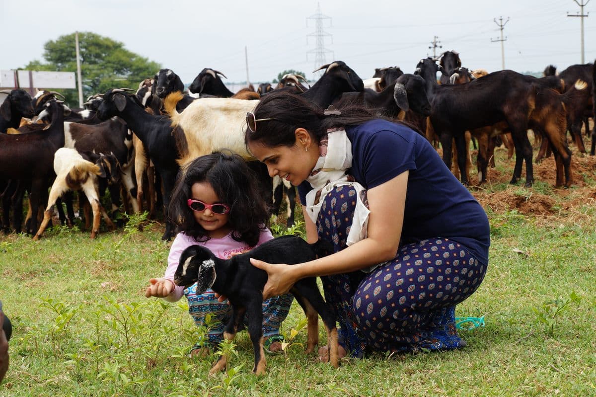 A mother and daughter meeting a young goat at the farm