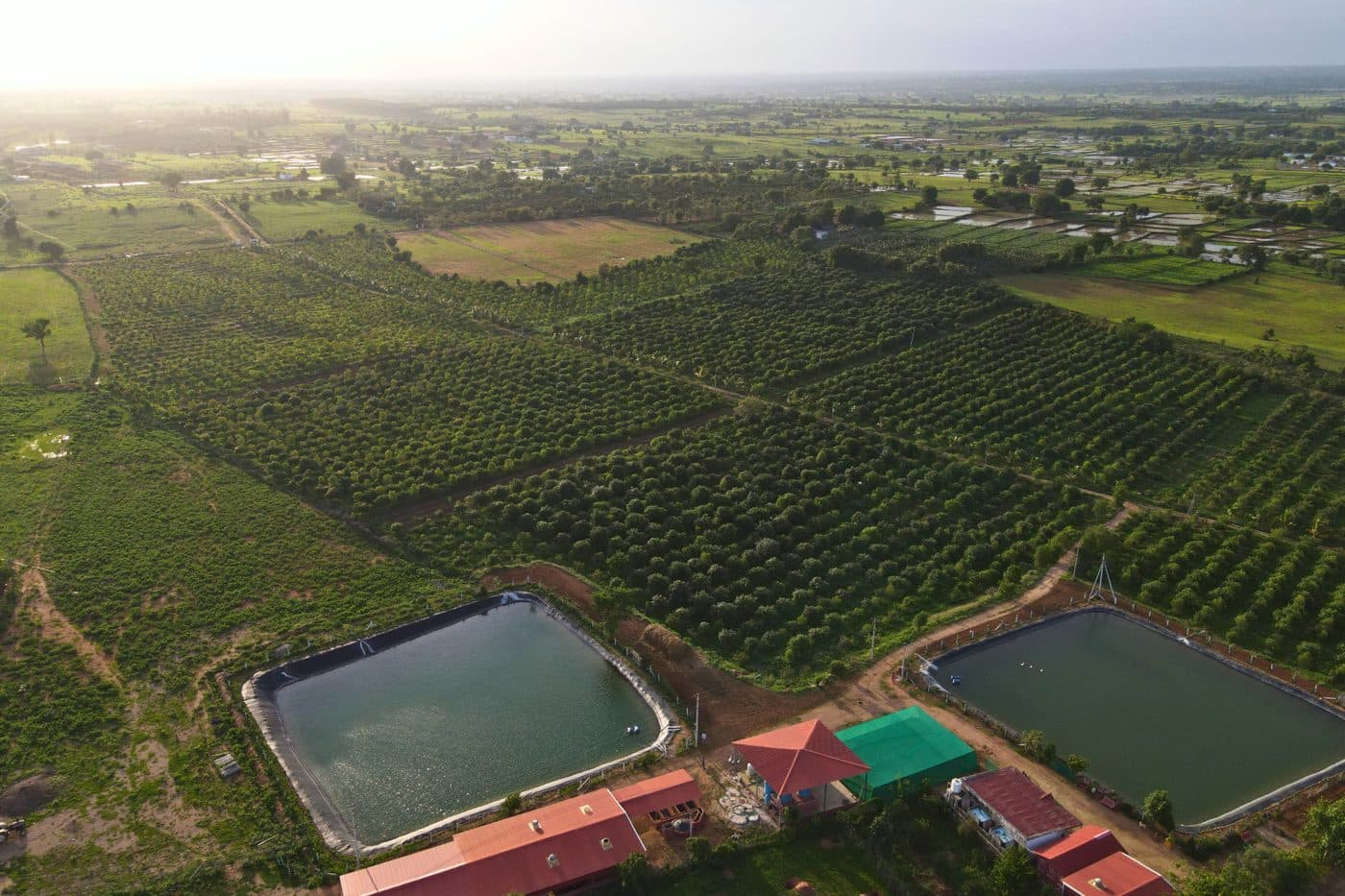Akshaya CSA Shadnagar